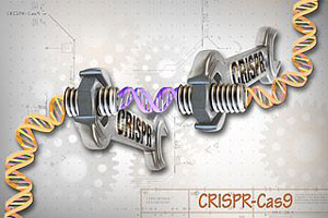 DNA double helix