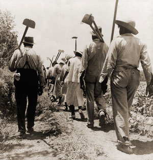 African American Farmworkers