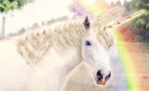 Unicorn