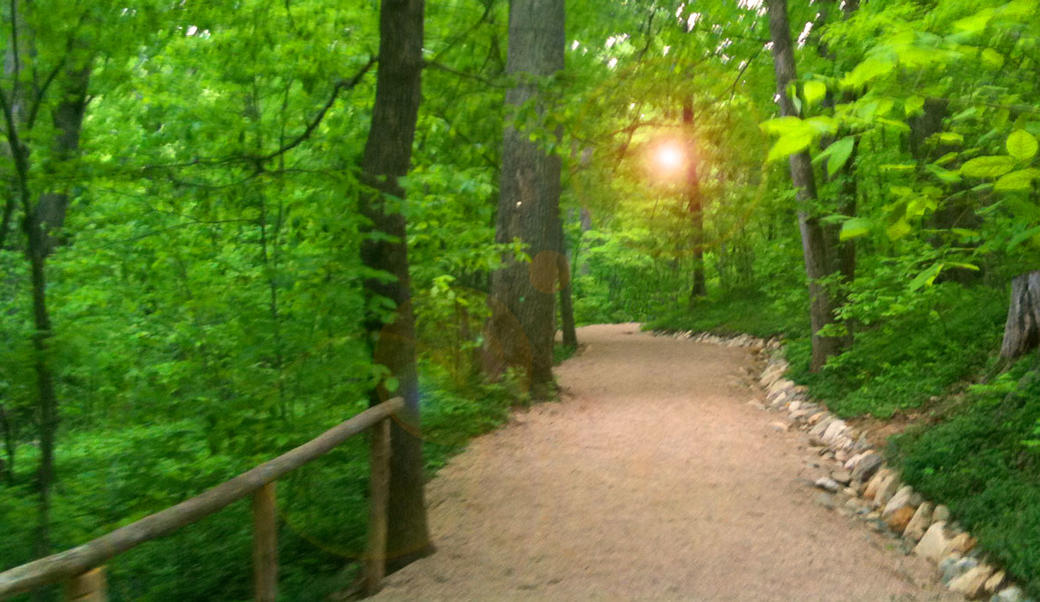 Path in the woods